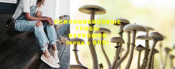 герыч Богданович