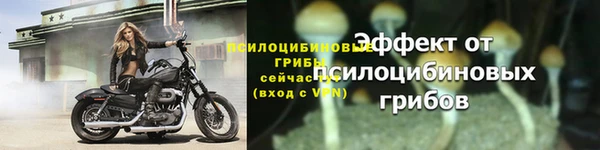 герыч Богданович