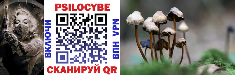 Псилоцибиновые грибы Psilocybe kraken Ижевск